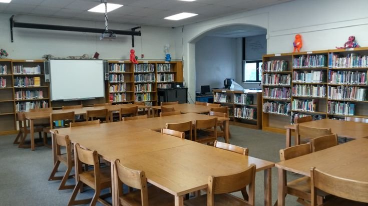 library cleaning
