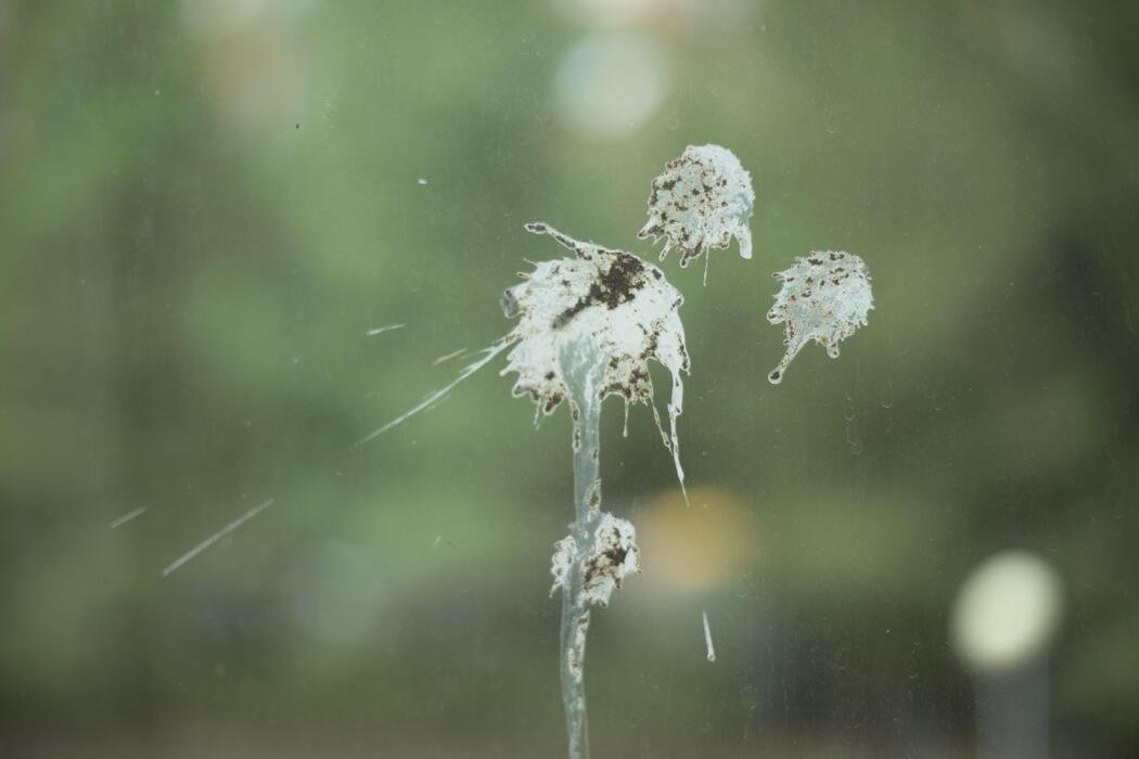 Commercial Window Cleaning Melbourne