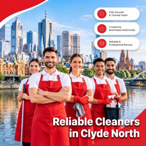 cleaners in cylde north